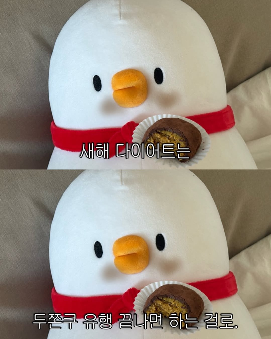 Photo by 베베 | 베베더오리 on January 07, 2026. May be an image of penguin and text that says '새해 다이어트는 새해다이어트는 트는 두쫀쿠유행 두쫀쿠유행끝나면해 두쫀쿠 유행 끝나면 하는 걸로.'.