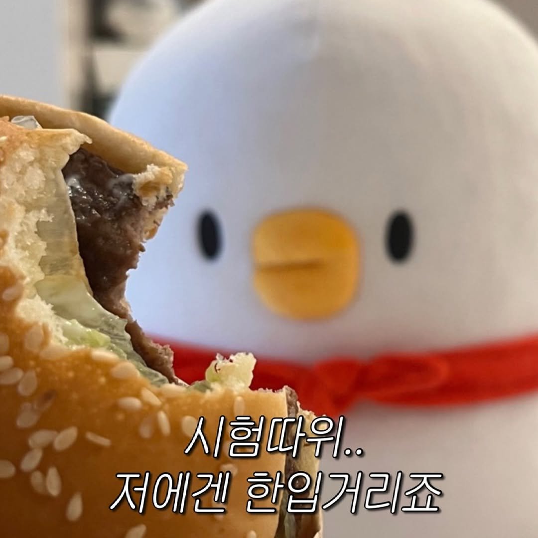 Photo by 베베 | 베베더오리 on November 12, 2025. May be an image of penguin, burger, pie and text that says '시험따위.. 저에겐 한입거리죠'.