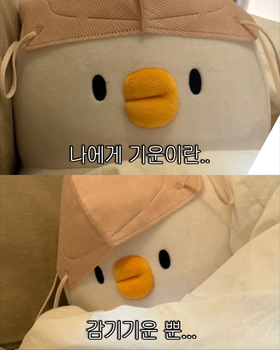 Photo by 베베 | 베베더오리 on November 22, 2025. May be a meme of penguin and text that says '. 나에게 기운이란.. 감기기운 思…'.