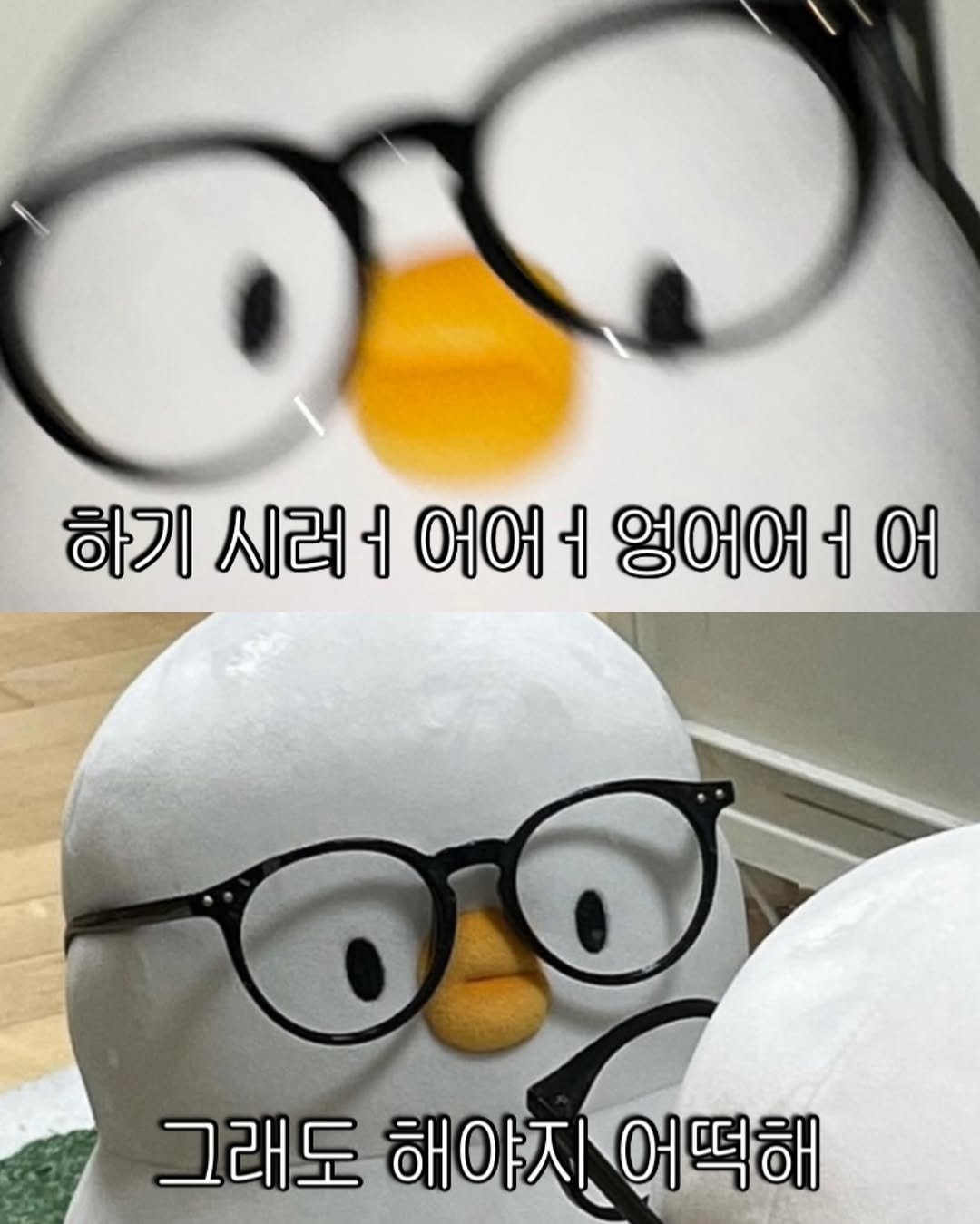 Photo by 베베 | 베베더오리 on August 25, 2025. May be an image of ‎penguin and ‎text that says '‎하기 시러 ل 어어 f 엉어어 + 어 그래도 그래도해야지어떡해 해야지 어떡해‎'‎‎.