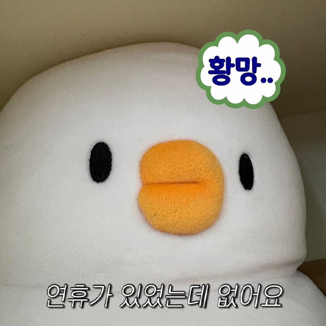 Photo by 베베 | 베베더오리 on August 17, 2025. May be an image of penguin and text that says '황망.. 연휴가 연휴가있었는데없 있었는데 없어요'.