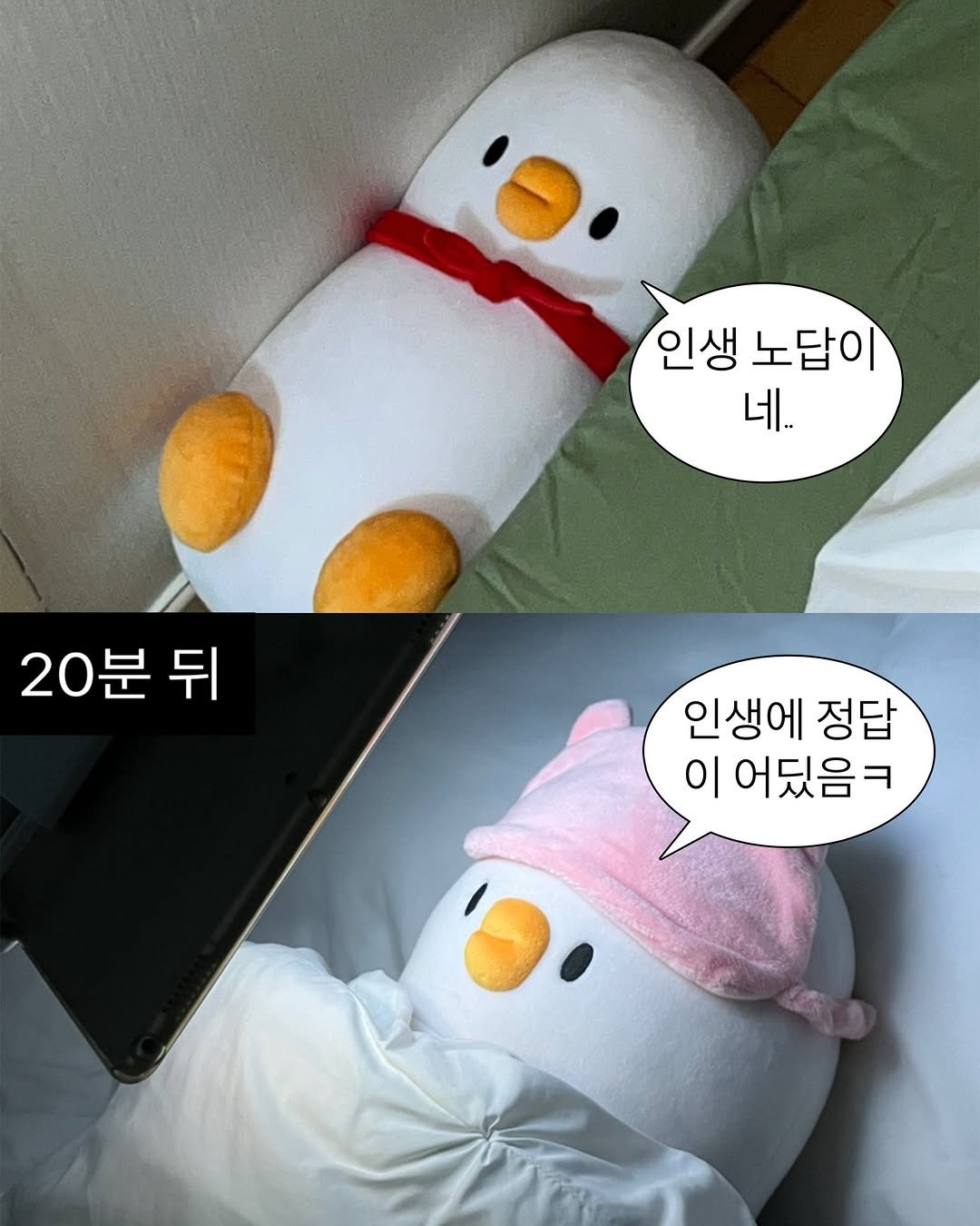 bebe_the_ori 게시물 이미지: 회복탄력성이 좋은 편