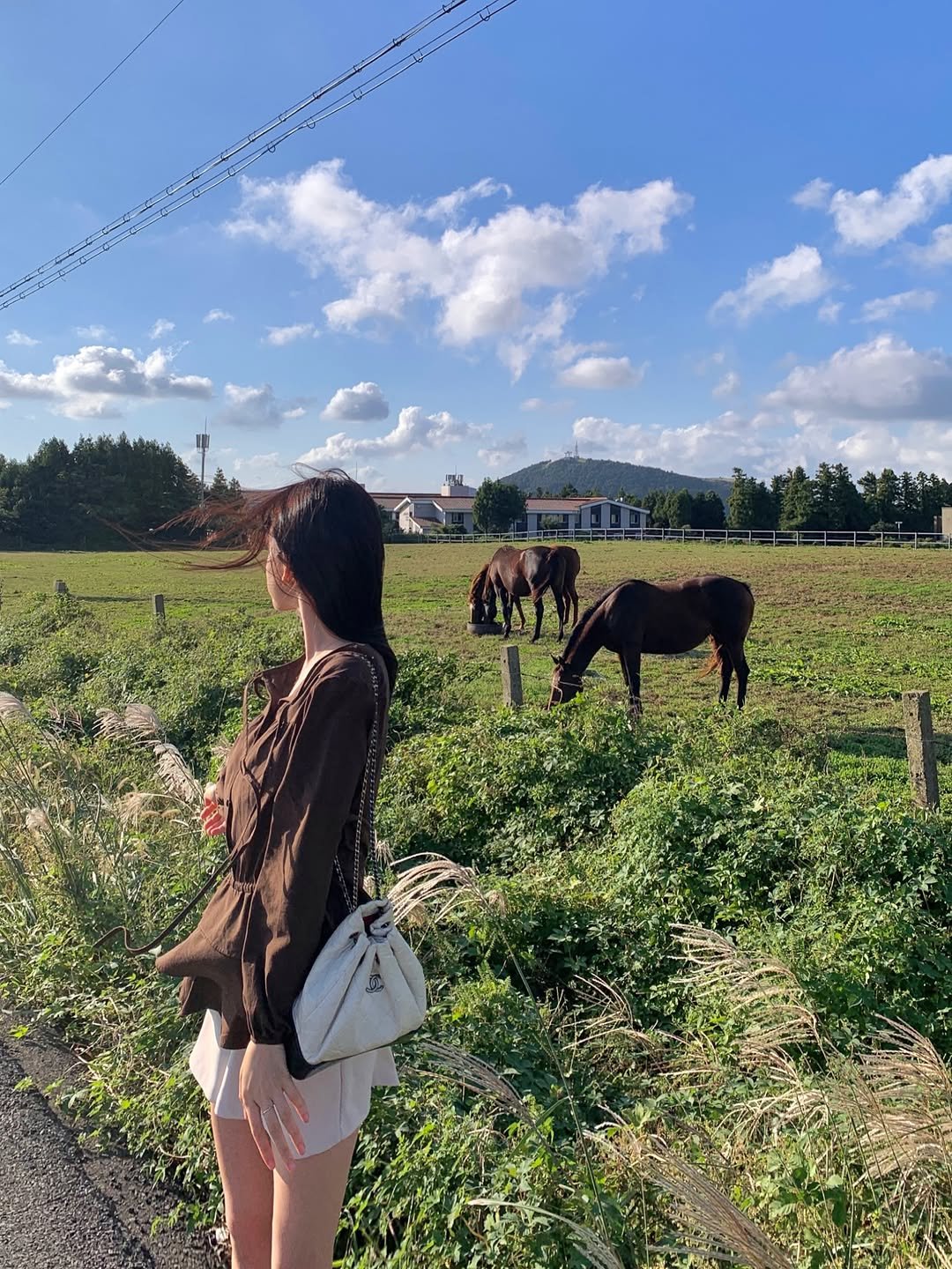 Photo by Lee Seulbi on November 03, 2025. May be an image of horse and text.