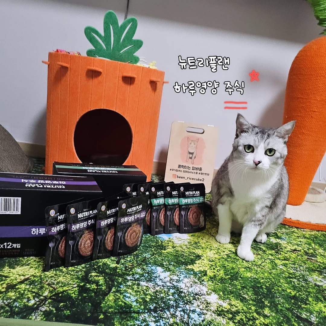 Photo by 콩떡이  ❤️  지우 on January 01, 2026.