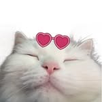 __merryday 프로필 사진