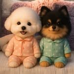 zzisisters_ 프로필 사진