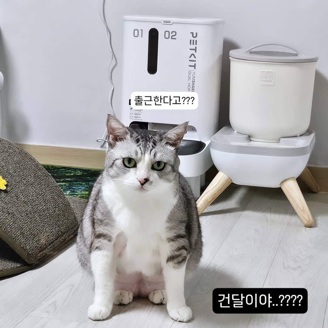 Photo by 콩떡이  ❤️  지우 on June 05, 2025.