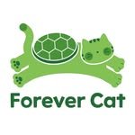 forevercat2021 프로필 사진