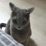 mm_vioiv 프로필 사진