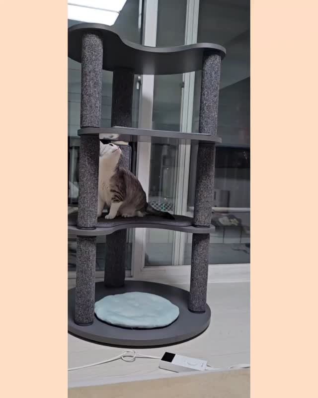 been_ricecake2 게시물 이미지: 스키선수가
꿈인줄

엄마는
몰랐잖니..??

이...