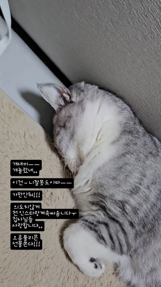 been_ricecake2 게시물 이미지: 정말ㅜ
개놀램ㅜㅡㅜ

이벤은
즐기는거니까~~~
답글주신분즁 

두분!!...