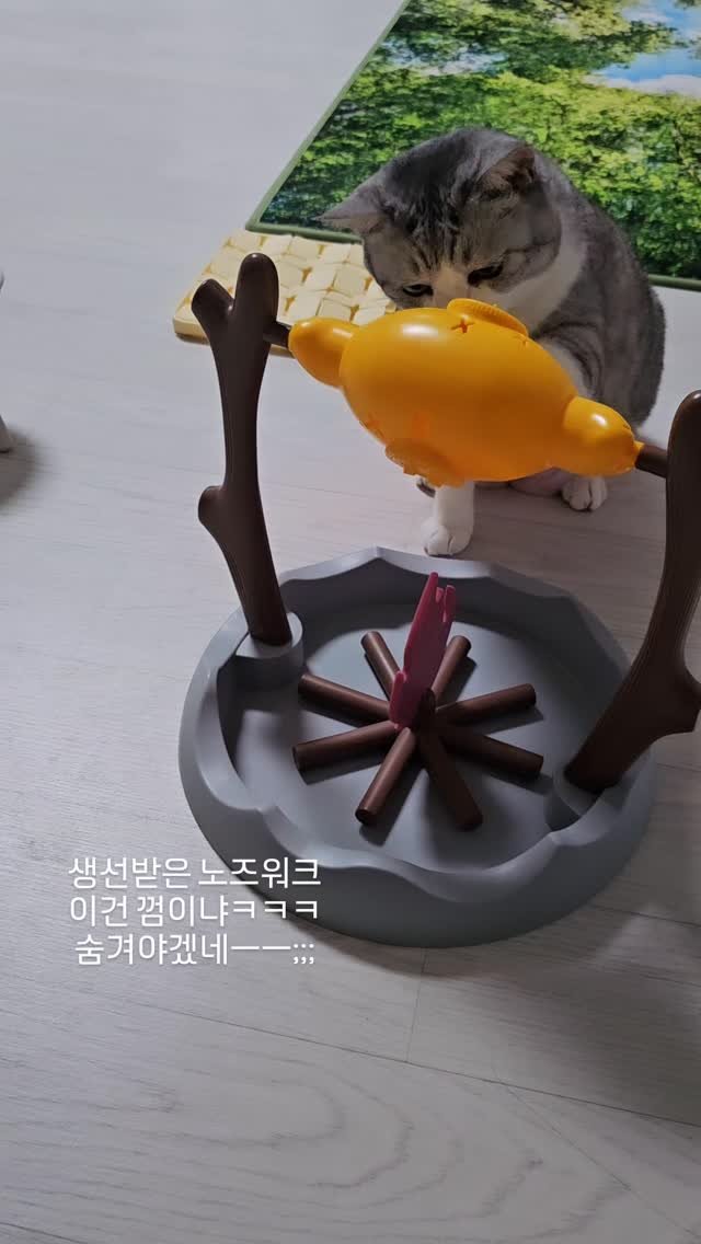 been_ricecake2 게시물 이미지: 어려운게

필요합니다 여러분!!!

도와주싶셔

콩떡이 생일선물받았는데..
아주...