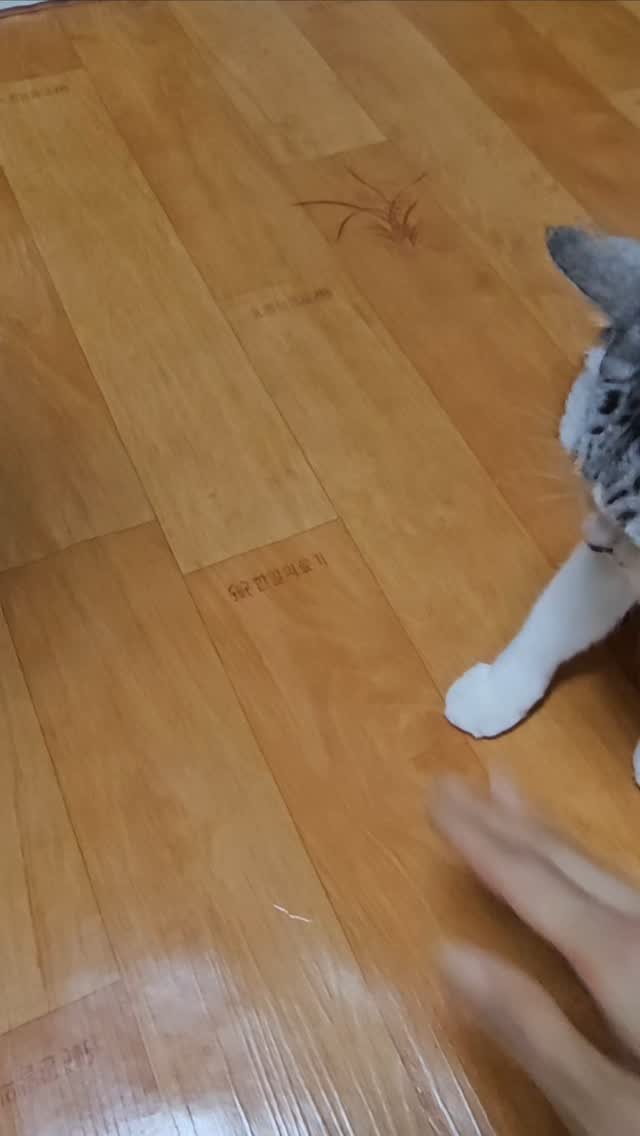 been_ricecake2 게시물 이미지: 임모들
월요일

화이팅!!!

엄마가
골골대는 중이라

콩떡이가 응원해듀께♡♡