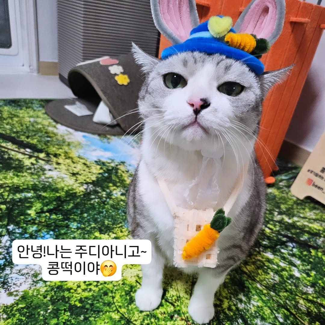 Photo by 콩떡이  ❤️  지우 on January 12, 2026.