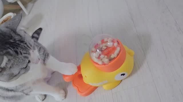 been_ricecake2 게시물 이미지: 새로운 개인기 뽐내기ㅋㅋ

꼭 혼자서는 안하고 
누가봐줘야만
누르는...