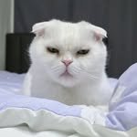 dooboo__life 프로필 사진