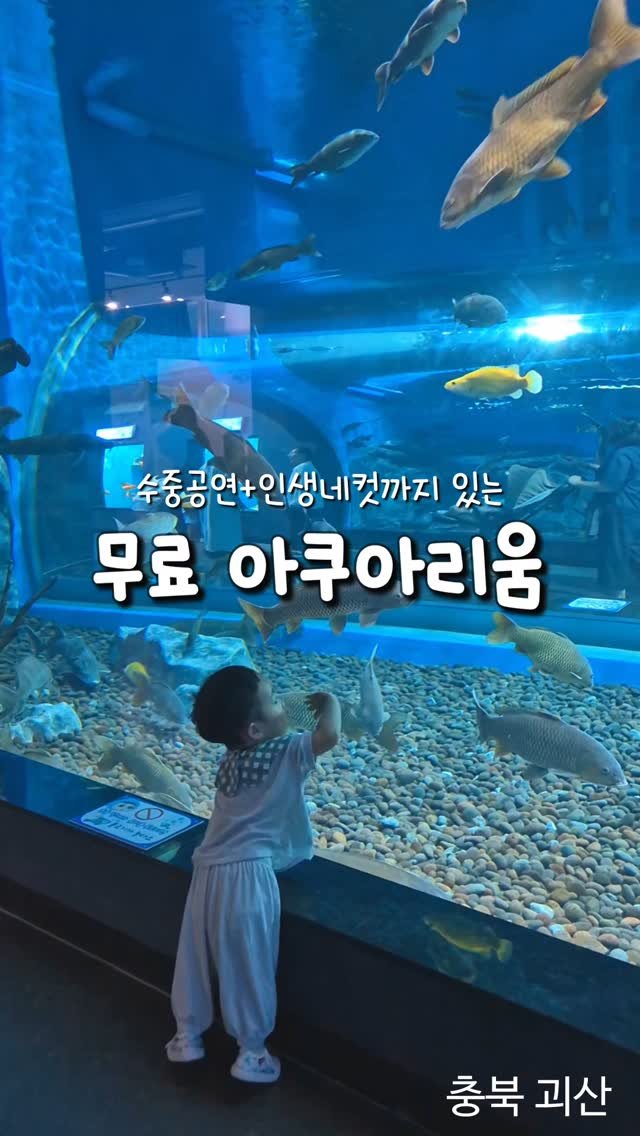 beenny_m 게시물 이미지: 무료 아쿠아리움‼️ 수중공연도 보고 인생네컷도 찍고 오세요...