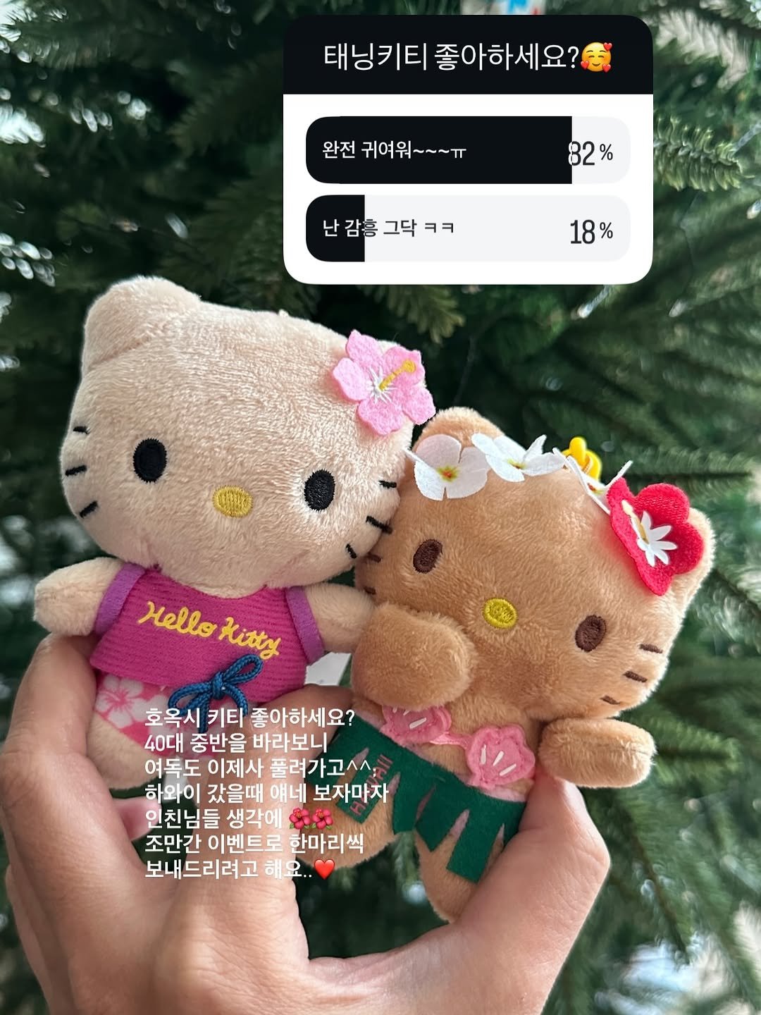 Photo by 베이지까사 | 살림•집밥 on December 12, 2025. May be an image of gingerbread cookie, christmas tree, toy and text that says '태닝키티 태닝키티좋아하세요? 좋아하세요? 완전 귀여워~~~ㅠ 82% % 난감홍그닥ㅋㅋ 그닥 ㅋㅋ 18% % Hello HelloRitty Kitty 호옥시 키티 좋아하세요? 40대 중반을 바라보니 여독도 이제사 풀려가고^ 하와이 갔을때 얘네 보자마자 인친님들 생각에 安ぶ 조만간 이벤트로 한마리씩 보내드리려고 해요..'.