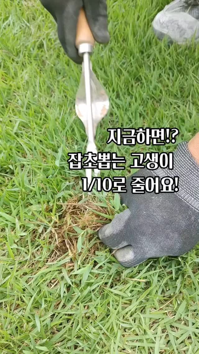 bejjangijubu 게시물 이미지: 살랑이는 봄바람보다 먼저 바빠져야 할 시기 바로 요즘!
앞서 피드에 저희가 하고...