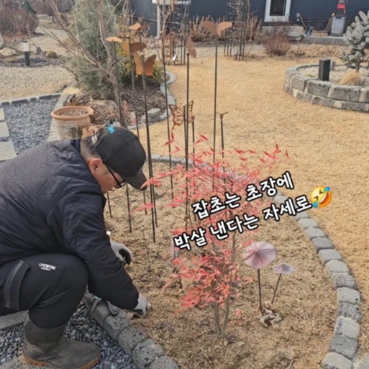 bejjangijubu 게시물 이미지: 경기도 안성은
어제, 오늘
올해 첫 봄을 만난 느낌이였는데요...😍

집 안에서는...