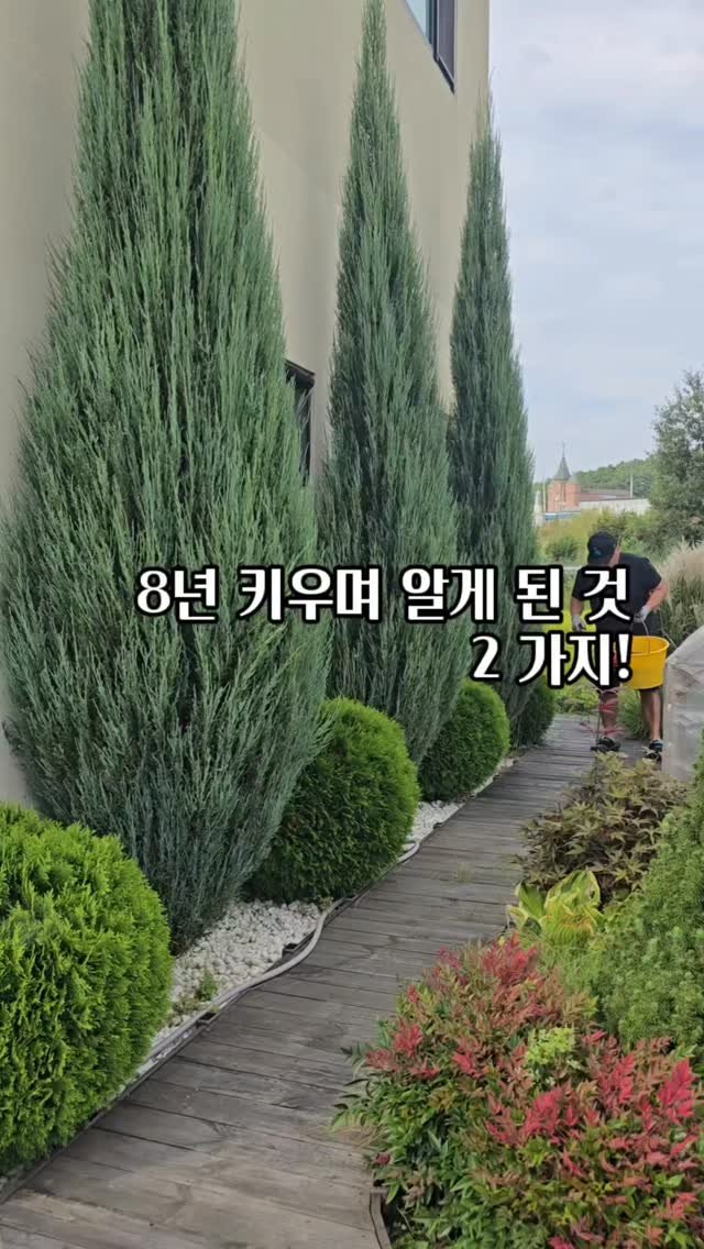 bejjangijubu 게시물 이미지: 살랑이는 봄바람보다 먼저 바빠져야 할 시기 바로 요즘!
앞서 피드에 저희가 하고...