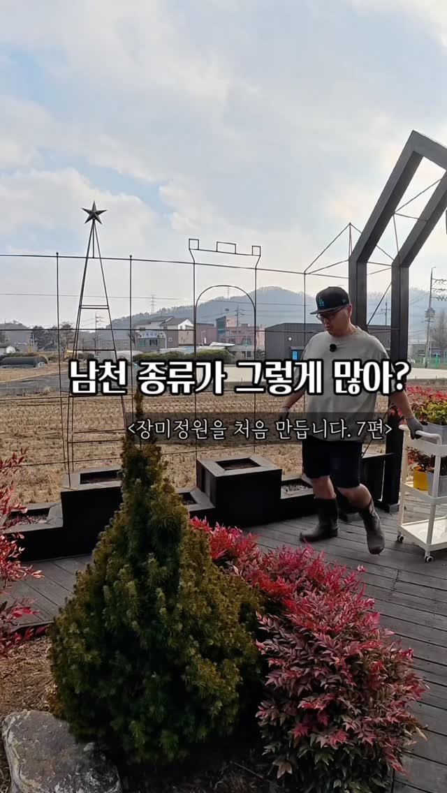 bejjangijubu 게시물 이미지: #개미남편의장미정원프로젝트7편

장미 화단을 만들다 보니 고민이 생겼어요....