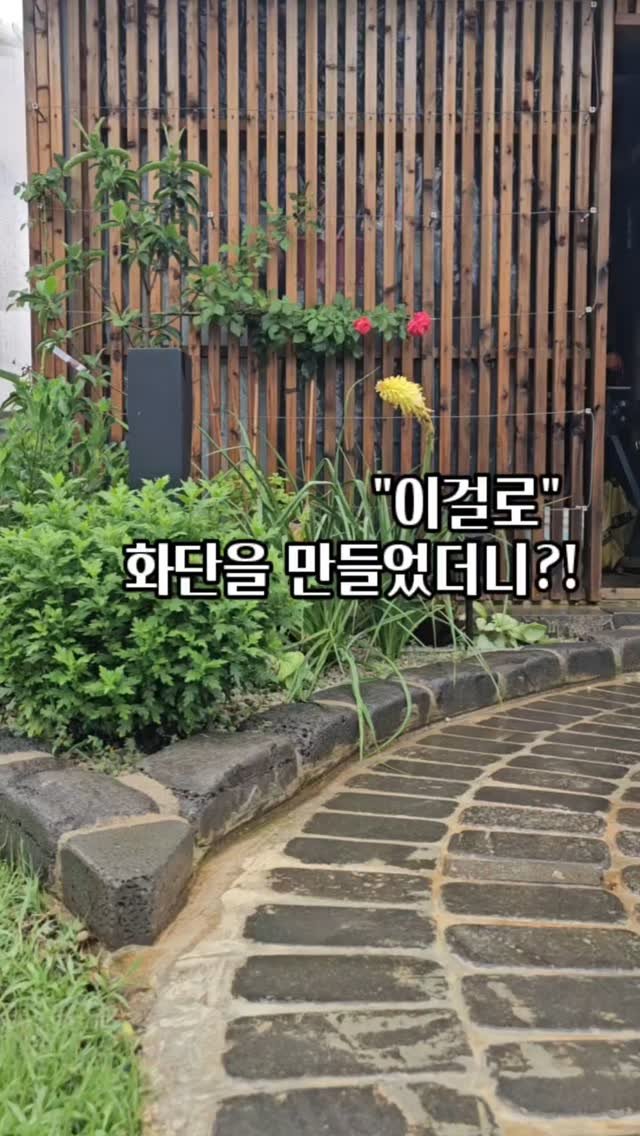 bejjangijubu 게시물 이미지: 📸 며칠 전, 비가 내린 뒤 정원을 바라보다가
눈에 확 들어온 게 있었어요.
바로...