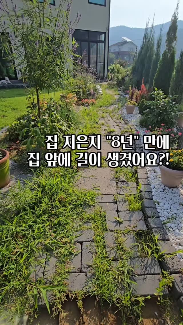 bejjangijubu 게시물 이미지: 드디어, 집 지은 지 8년 만에!
개미와 베짱이네 현관 앞에도 ‘진짜 길’이...