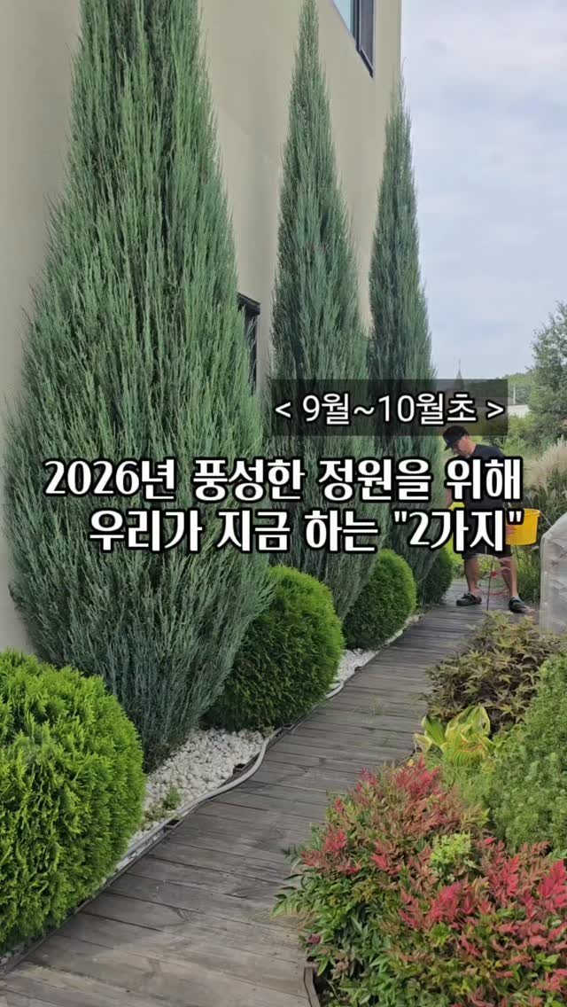 bejjangijubu 게시물 이미지: 🌱 개미와베짱이네 정원을 보시고,
감사하게도 이쁘다, 멋지다, 이렇게 가꾸는 방법이...