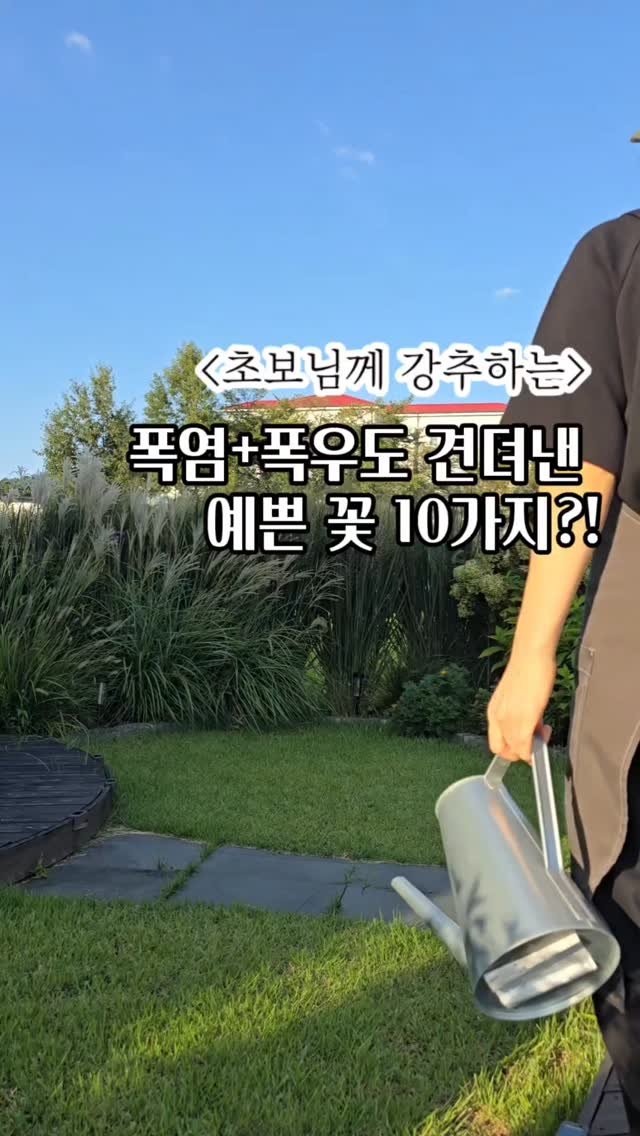 bejjangijubu 게시물 이미지: 2025년 여름은 유난히 덥고, 
또 무섭게 비가 쏟아졌던 해였어요.
정원...