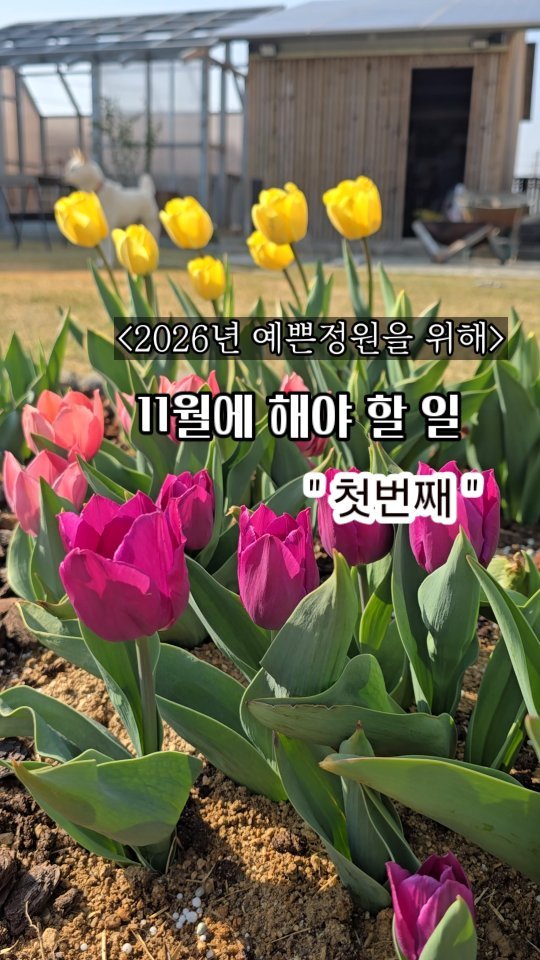 bejjangijubu 게시물 이미지: 며칠 전, 내년 정원을 위해
개미남편과 올해 마무리를 위해
할 일들을 하나씩 적어...