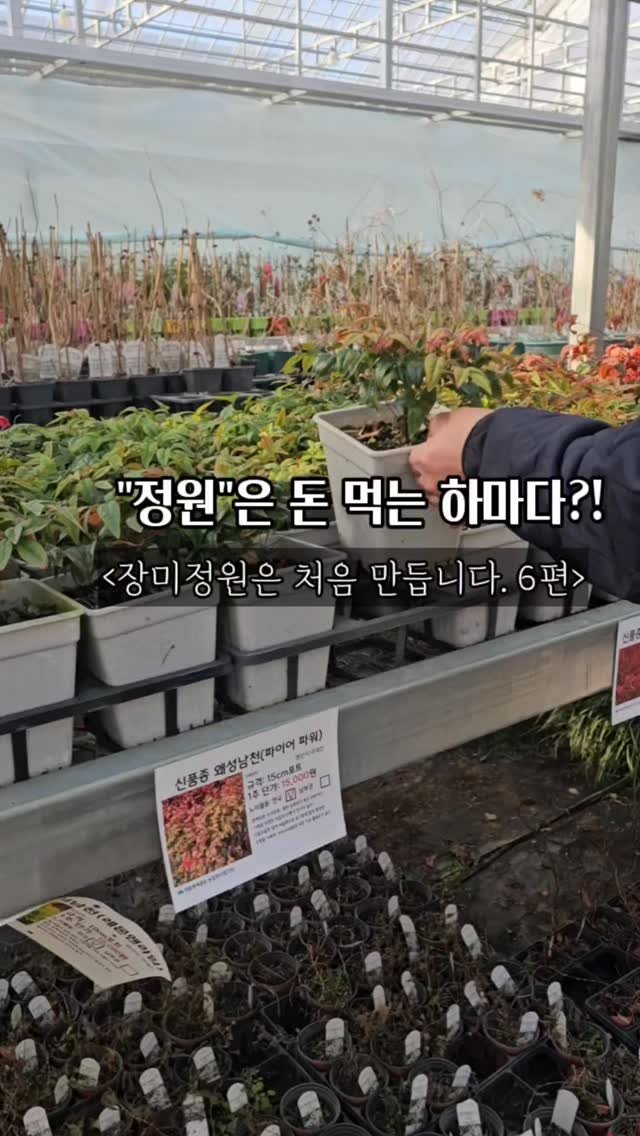 bejjangijubu 게시물 이미지: #개미남편의장미정원프로젝트6편

날이 따땃해지면 바로 장미를 심기 위해
만반의...