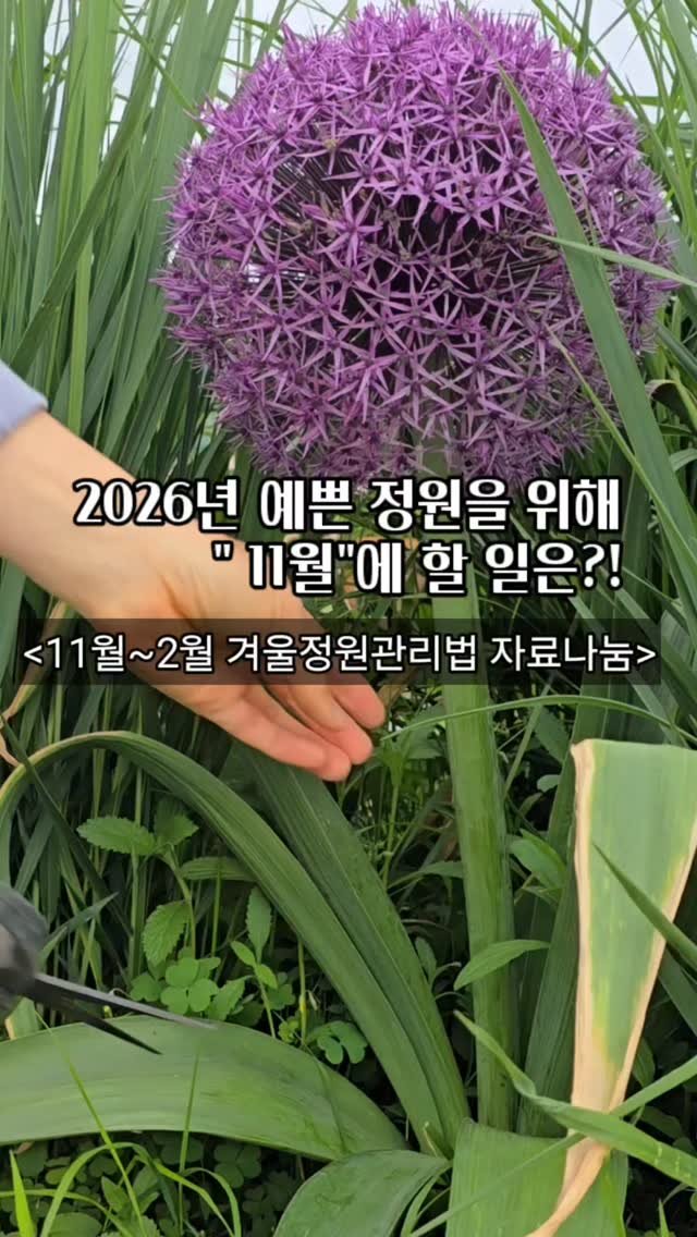 bejjangijubu 게시물 이미지: 몇일 전 "주택살이 겨울대비 체크리스트"를 만들면서
사실 공유할까 말까 고민을...