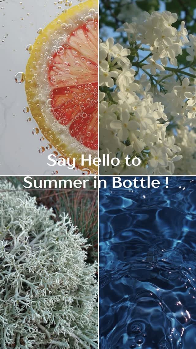 belavenir_perfumes 게시물 이미지: UPTO 30% OFF DISCOUNTS 🌞 Say Hello to Summer...