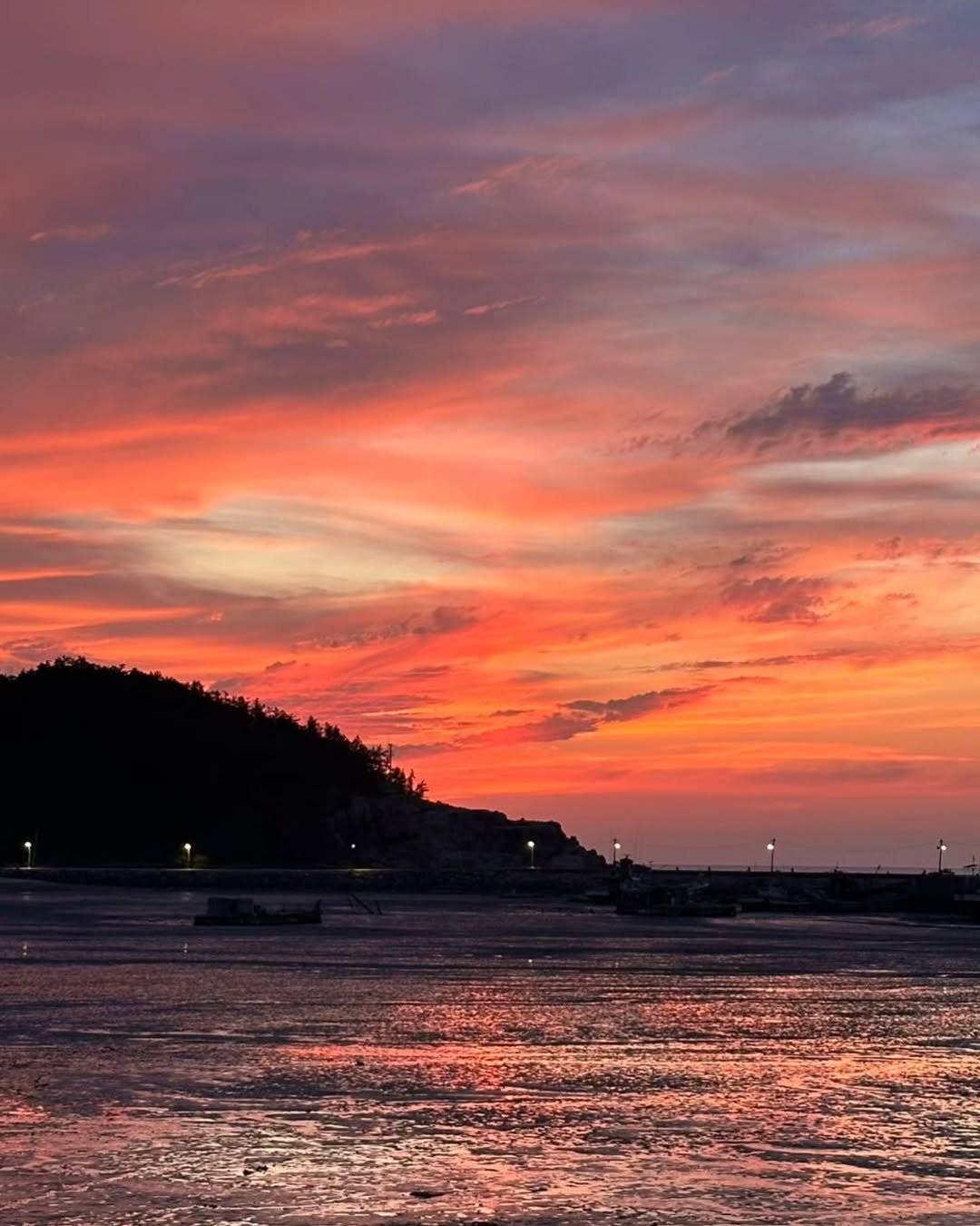 Photo by 양세종 on July 31, 2024.