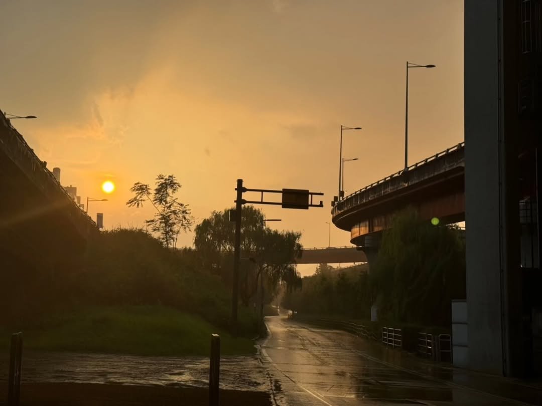 Photo by 양세종 on August 24, 2024.