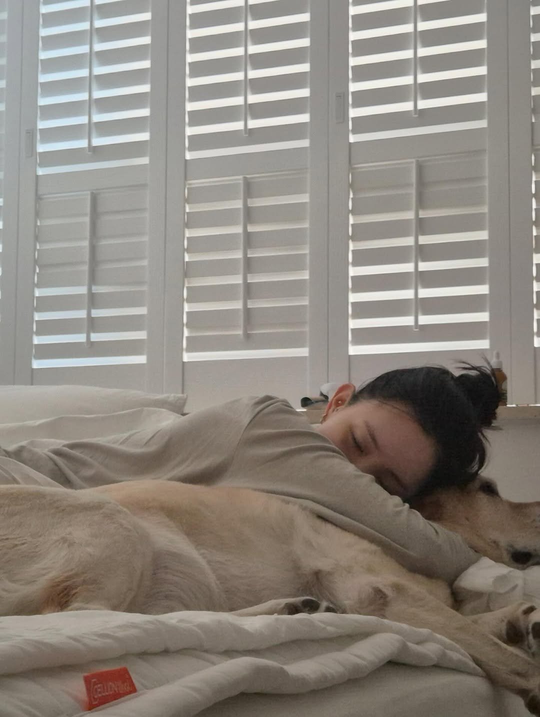 Photo by BELLELEAH on December 27, 2025. May be an image of sleeping, collie, bedroom and text.