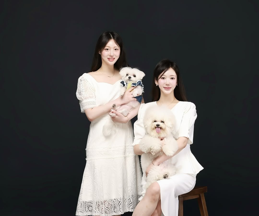 Photo by 설아 벨르아 on May 26, 2025.