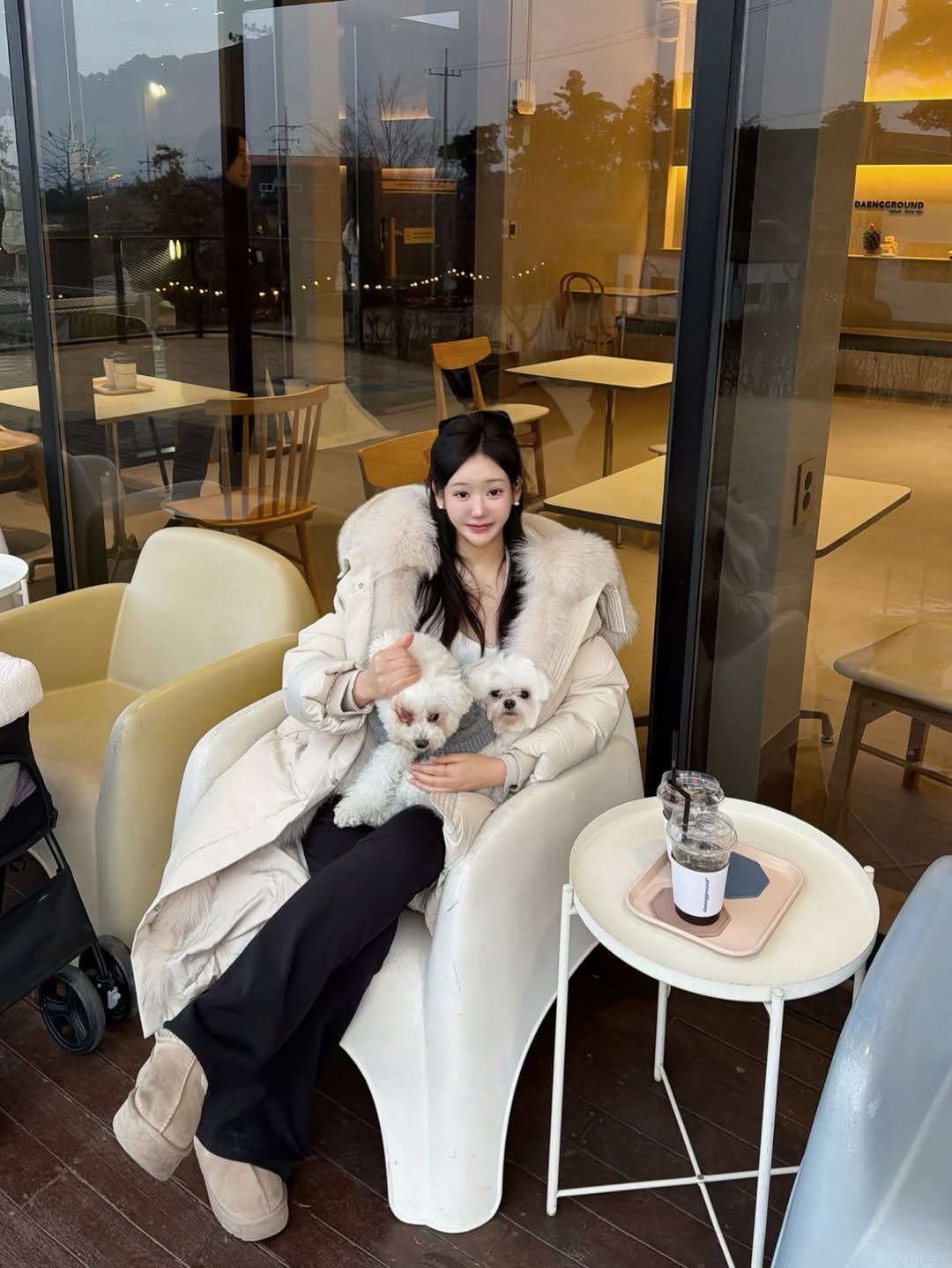 Photo by 설아 벨르아 on January 05, 2026. May be an image of Maltese, Bedlington terrier, Pekinese, duffle coat, overcoat, sable coat, cornflower and text.