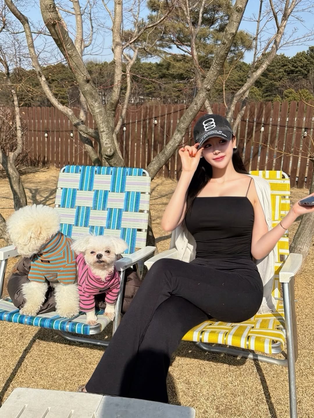 Photo by 설아 벨르아 on February 20, 2026. May be an image of Maltese, deck chair and text.