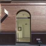 miguelabreugallery 프로필 사진