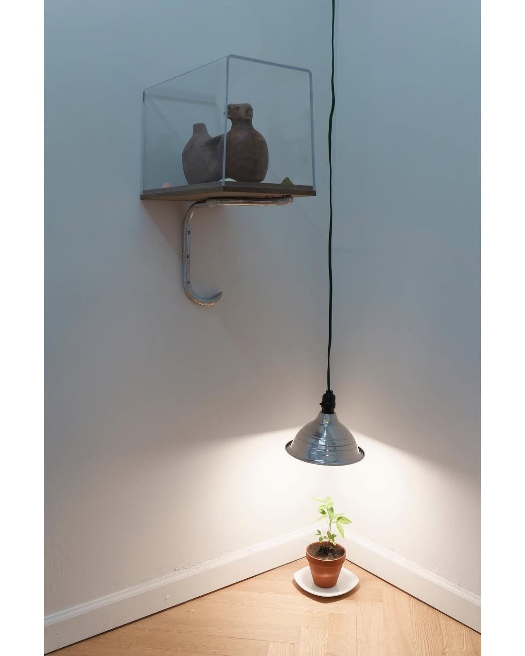 Photo shared by Below Grand Gallery on December 06, 2025 tagging @heavymetalcurator. May be an image of display case, house plant and text.