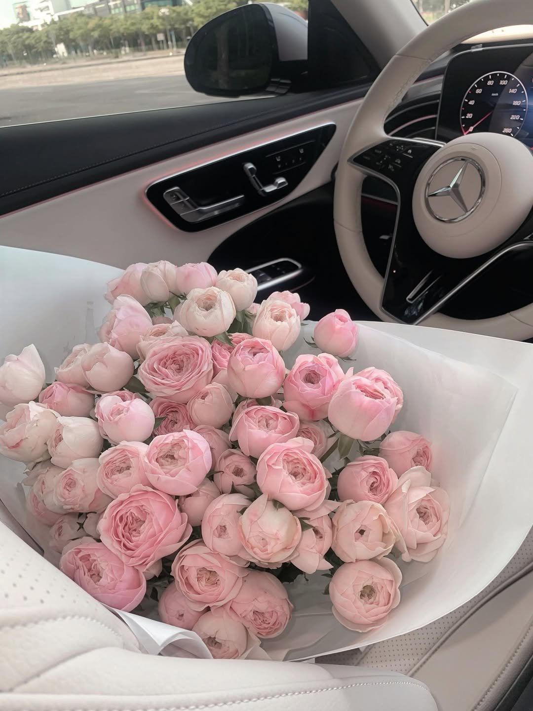 bemy_rin 게시물 이미지: pink therapy🌹🎀

favorites💍

6.29 8PM
vivienne...