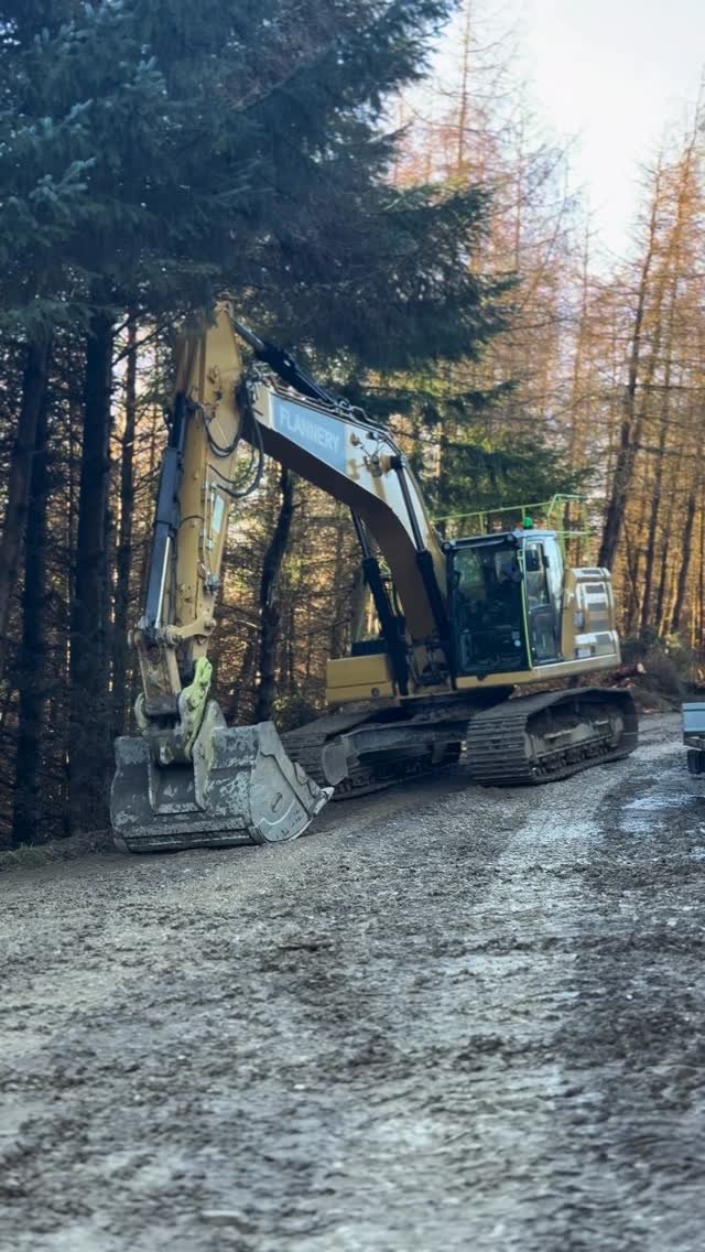 bentheoperator 게시물 이미지: Good things come in pairs! #catconstruction...