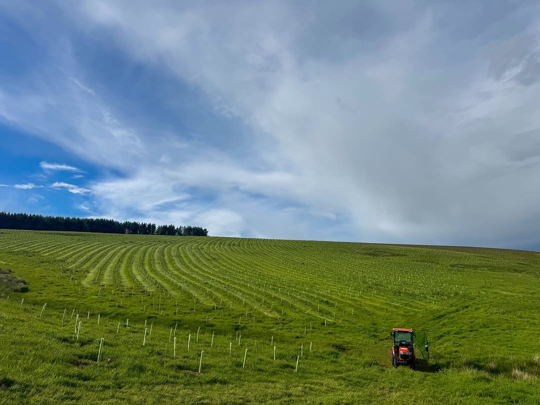 bentheoperator 게시물 이미지: Small tractor or big field? 😆