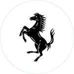 ferrariaustralasia 프로필 사진