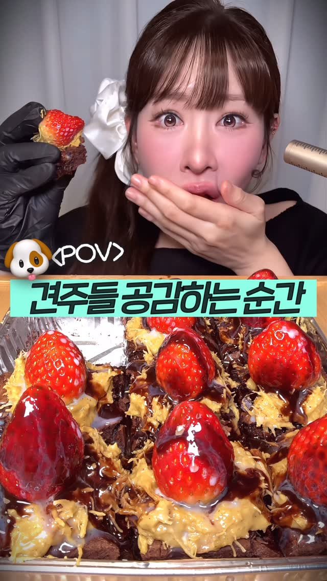 beombee2 게시물 이미지: 초코먹다 떨어지면 난리자베스 되는거심
#공감릴스 #강아지 #강아지초코 #견주공감 #불독