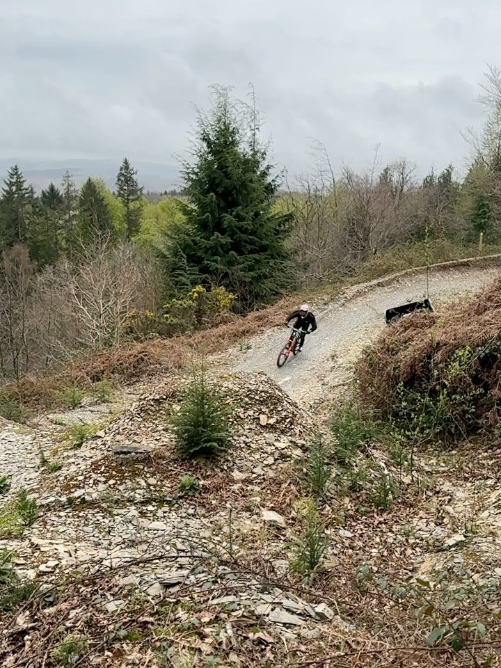 bernard_kerr 게시물 이미지: Wales window shopper.