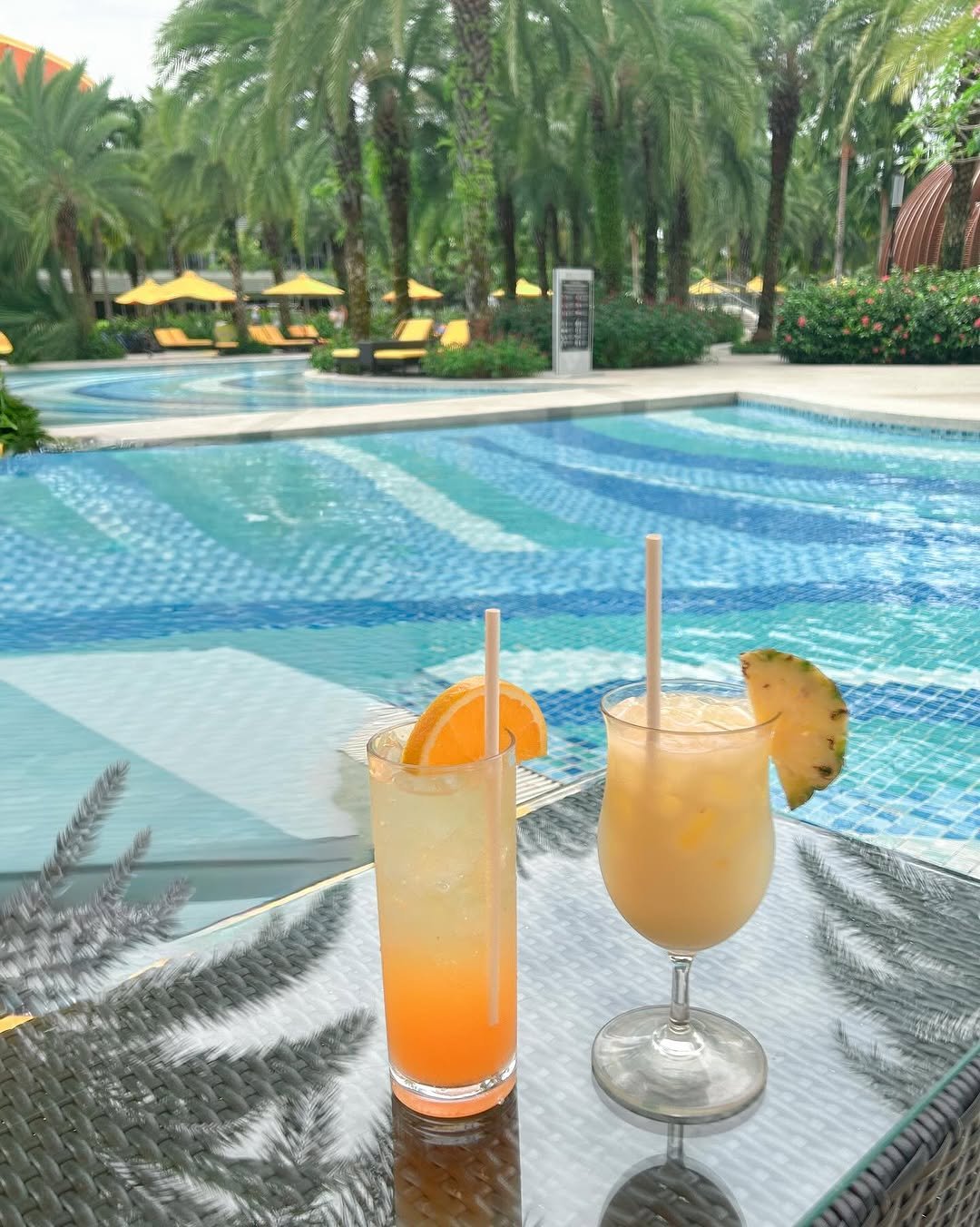 Photo by 김수현  딸기엄마🍓 on November 16, 2025. May be an image of cocktail, cabana and text.