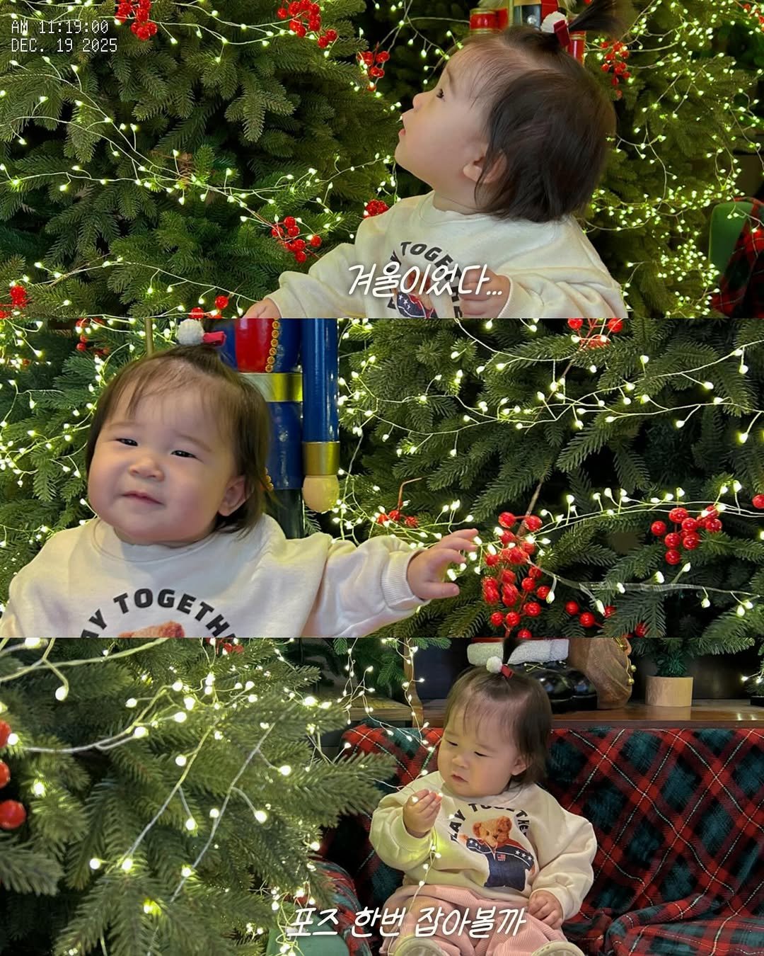 Photo by 김수현  딸기엄마🍓 on December 20, 2025. May be an image of baby, christmas tree, tinsel and text that says 'AM 11:19:00 DEC DEC.1 19 2025 TOGA 겨울이었다.. TOCETИ 포즈한밸잡아볼까 포즈 한번 잡아볼까'.